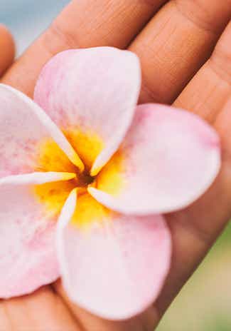 Zoom sur le Monoï, cette huile merveilleuse au doux parfum des îles