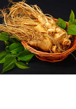 Ginseng rouge