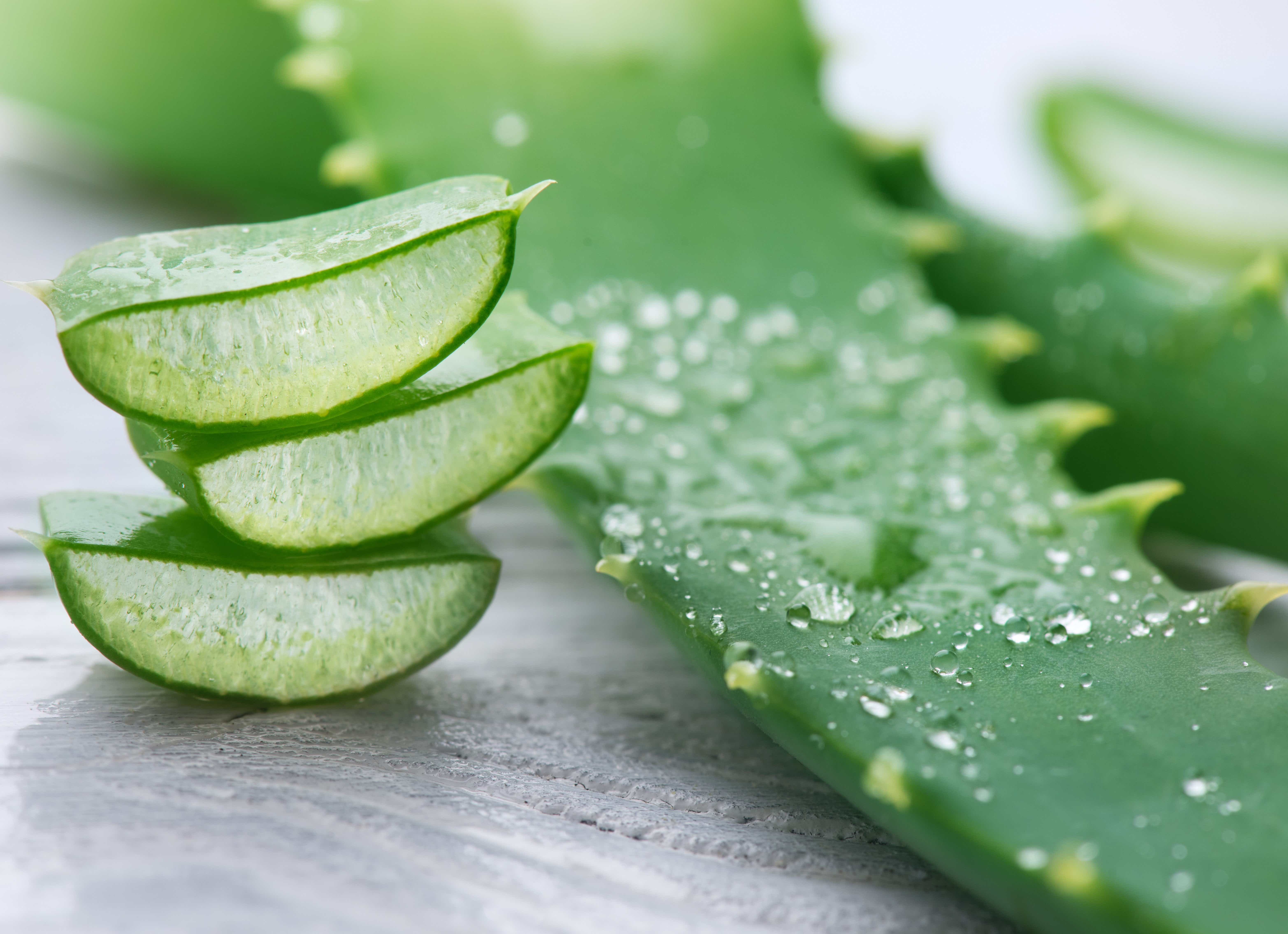 Les bienfaits de l'aloe vera sur la peau