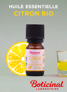 Bloc Méga Menu - Encart - Catégorie Bio