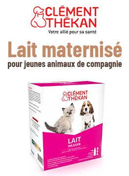 Bloc Méga Menu - Encart - Catégorie Vétérinaire