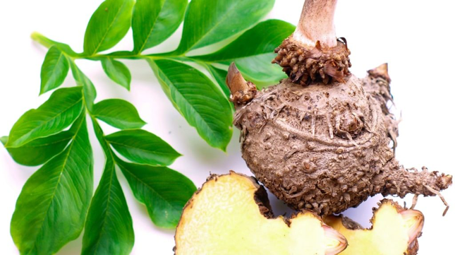 PRODUITS PHYTO-DIETETIQUES EN EXCLUSIVITE